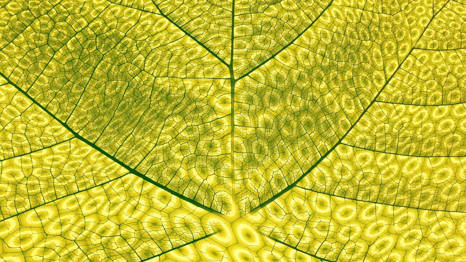 Synthetic Photosynthesis - Abstract Illustration
