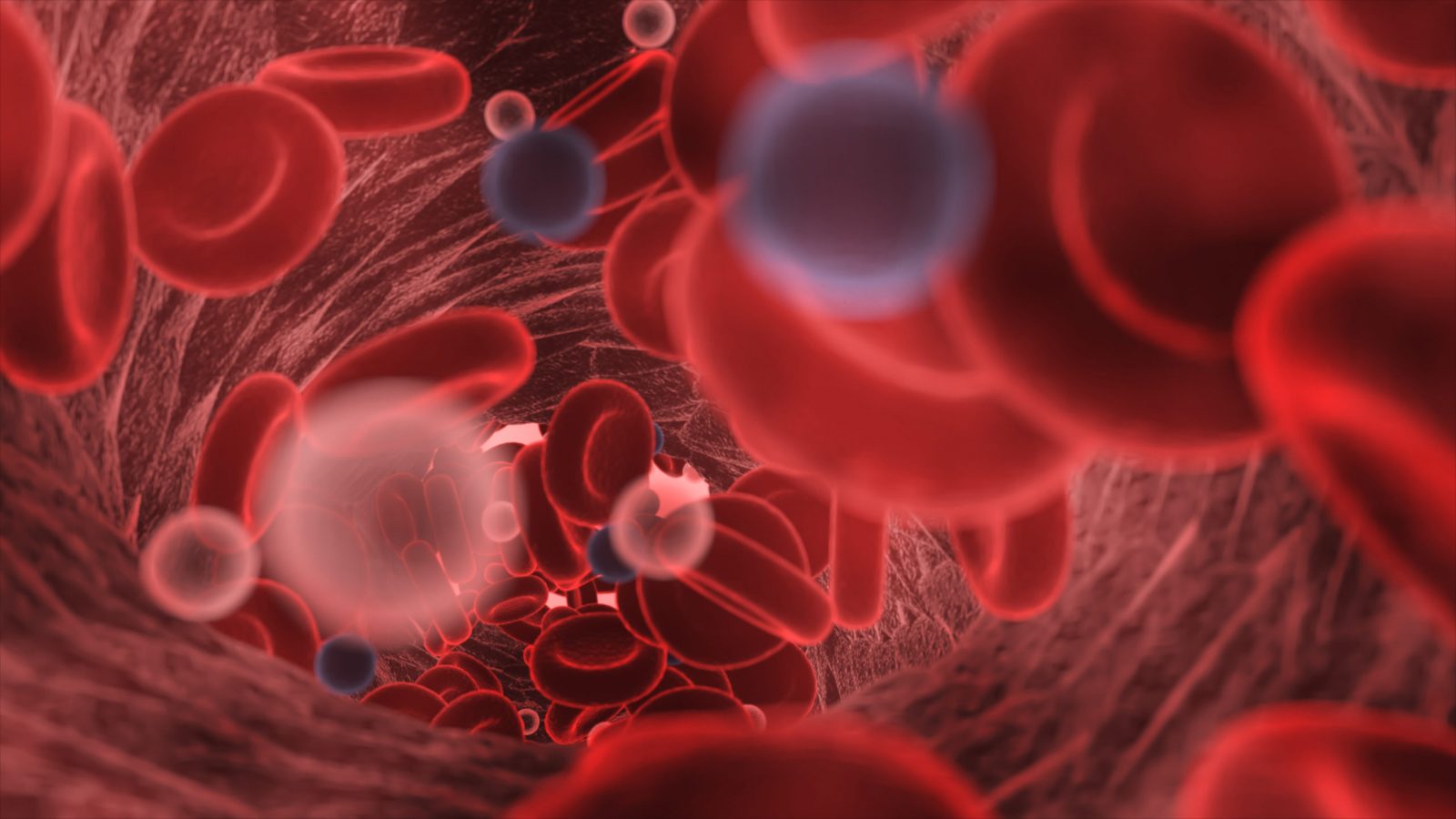 Oxygen in red blood cells in the blood and antibacterial, 3d rendering-1