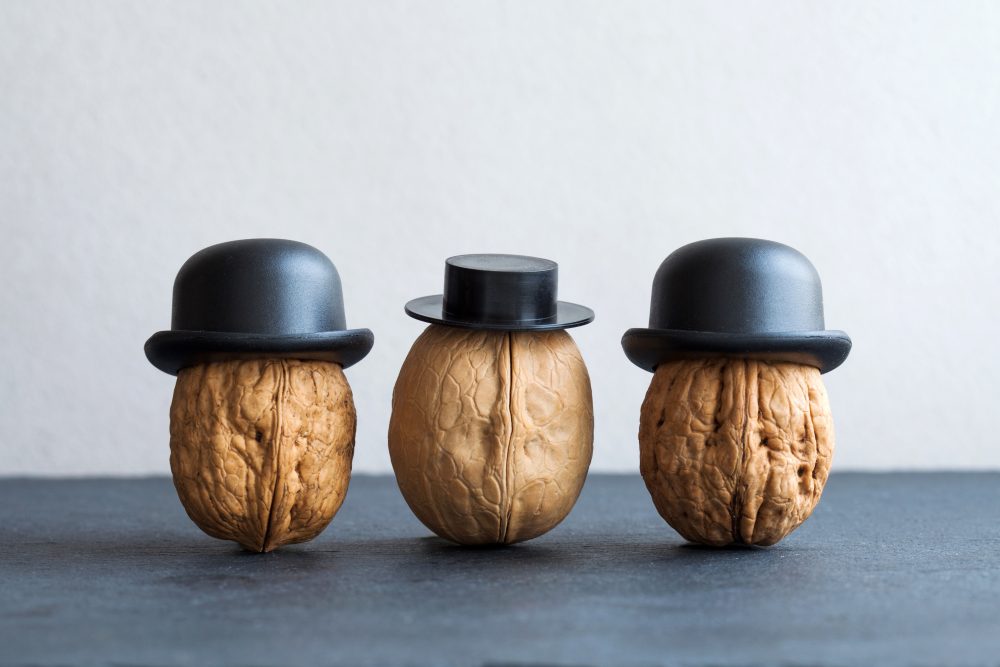 walnuts black hats on stone and gray background. Creative food design poster. Macro view selective focus photo