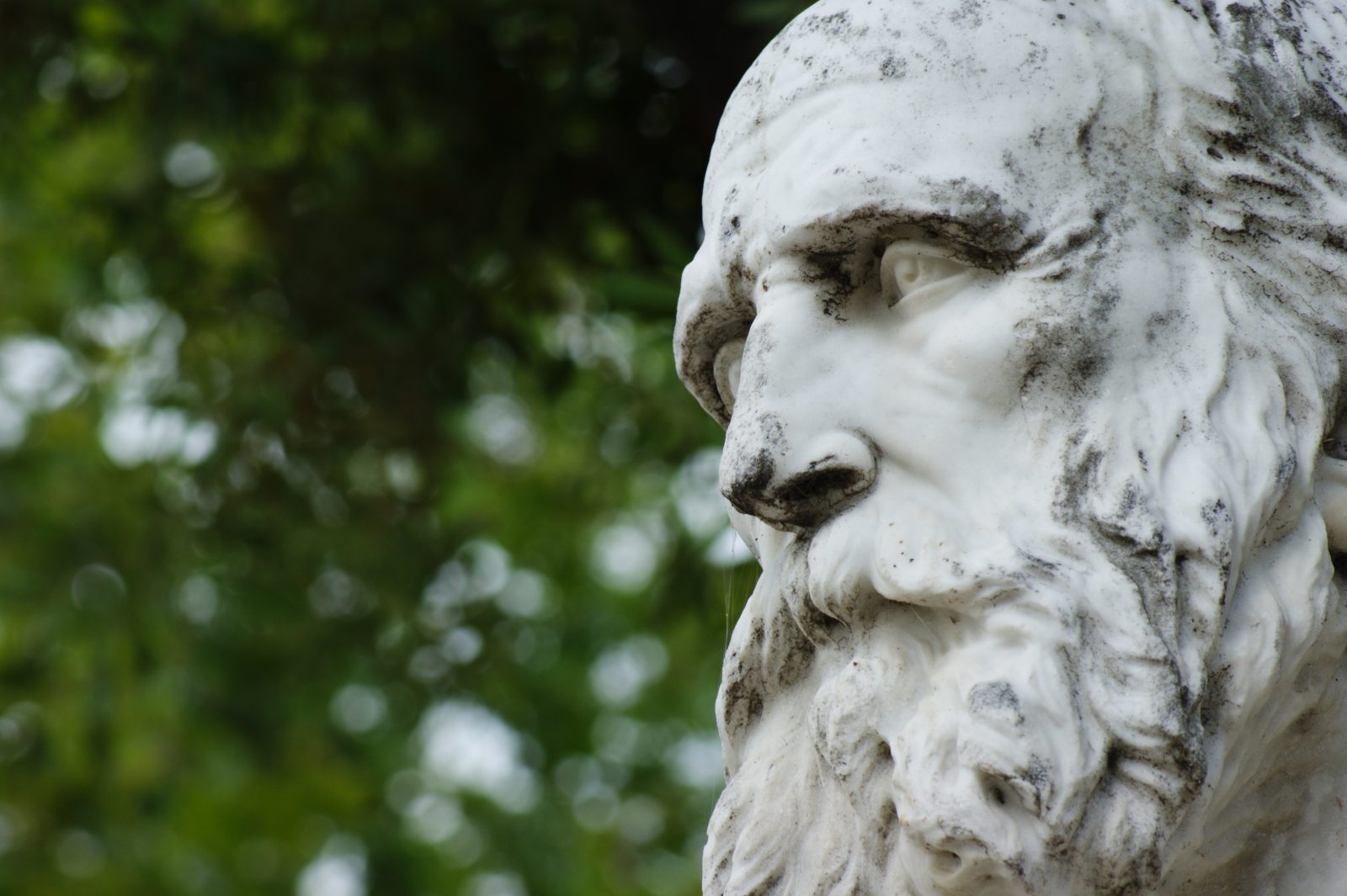 white marble statue of man with beard in detail