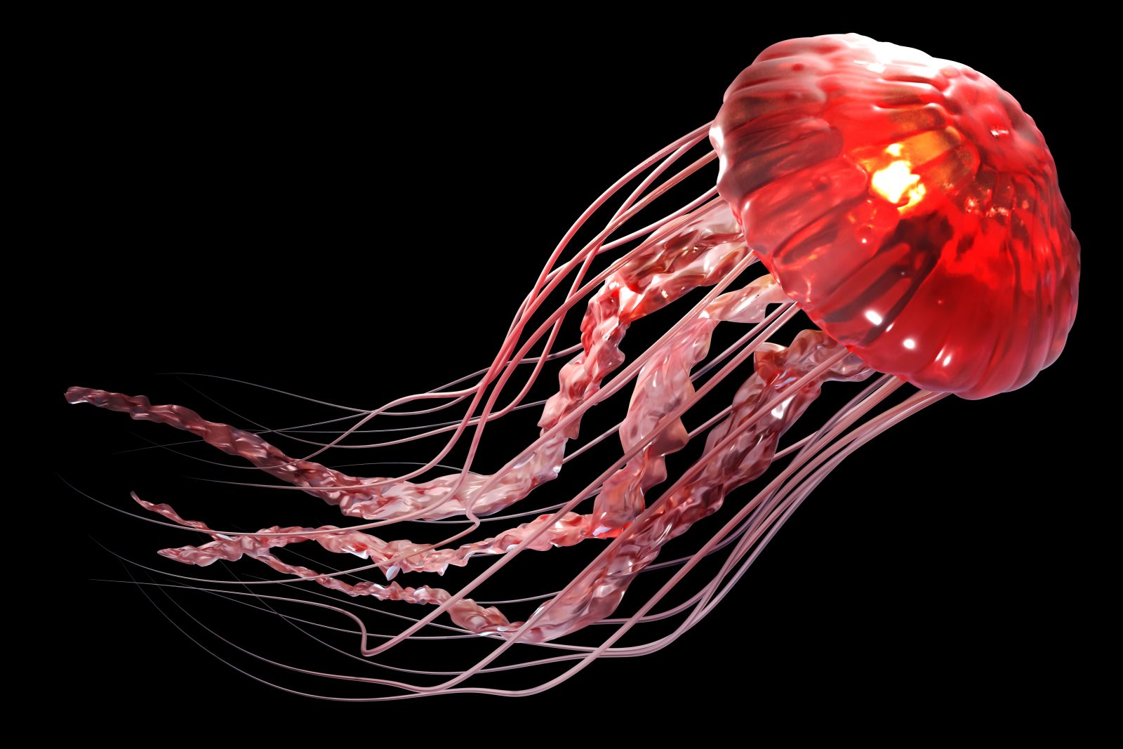 3d rendering of pink jellyfish floating in the dark blue ocean background with sunlight.