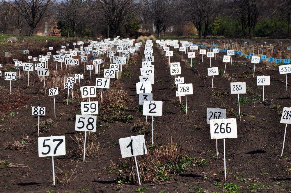 number plates on the field