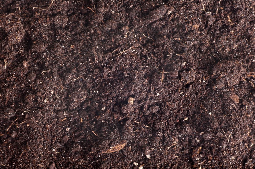 soil background, ground texture top view