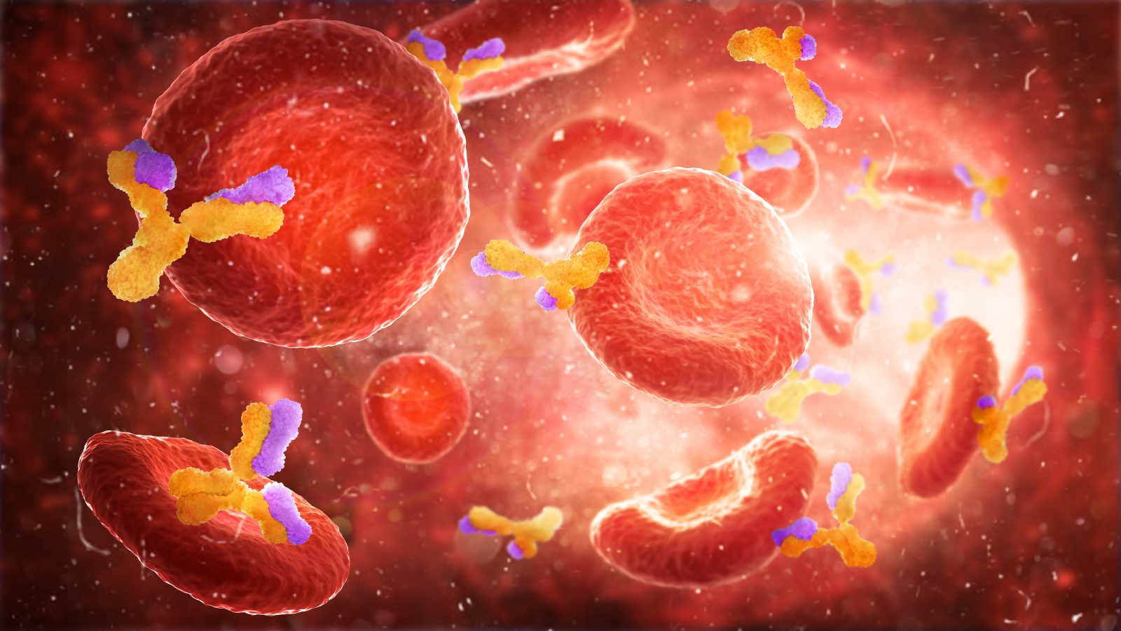 Immunity. Red blood cells with antibodies in an artery, flow inside body. 3d Illustration