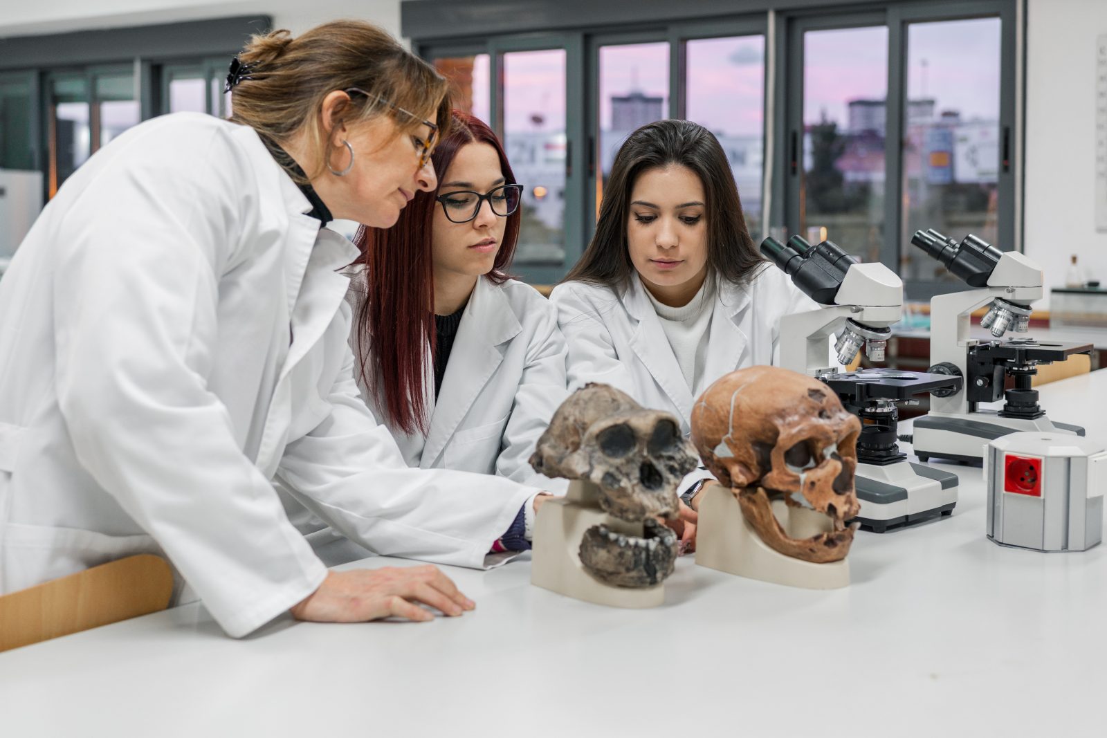 Scientists examining skull in lab