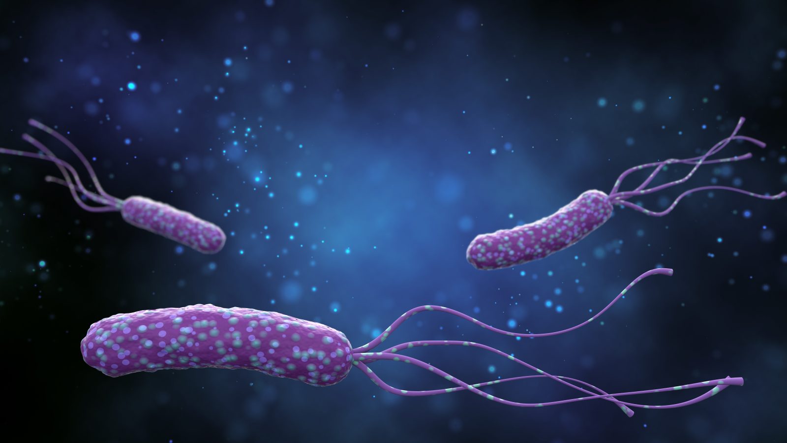 Illustration of Helicobacter pylori bacteria on an abstract blue background. Medical concept.