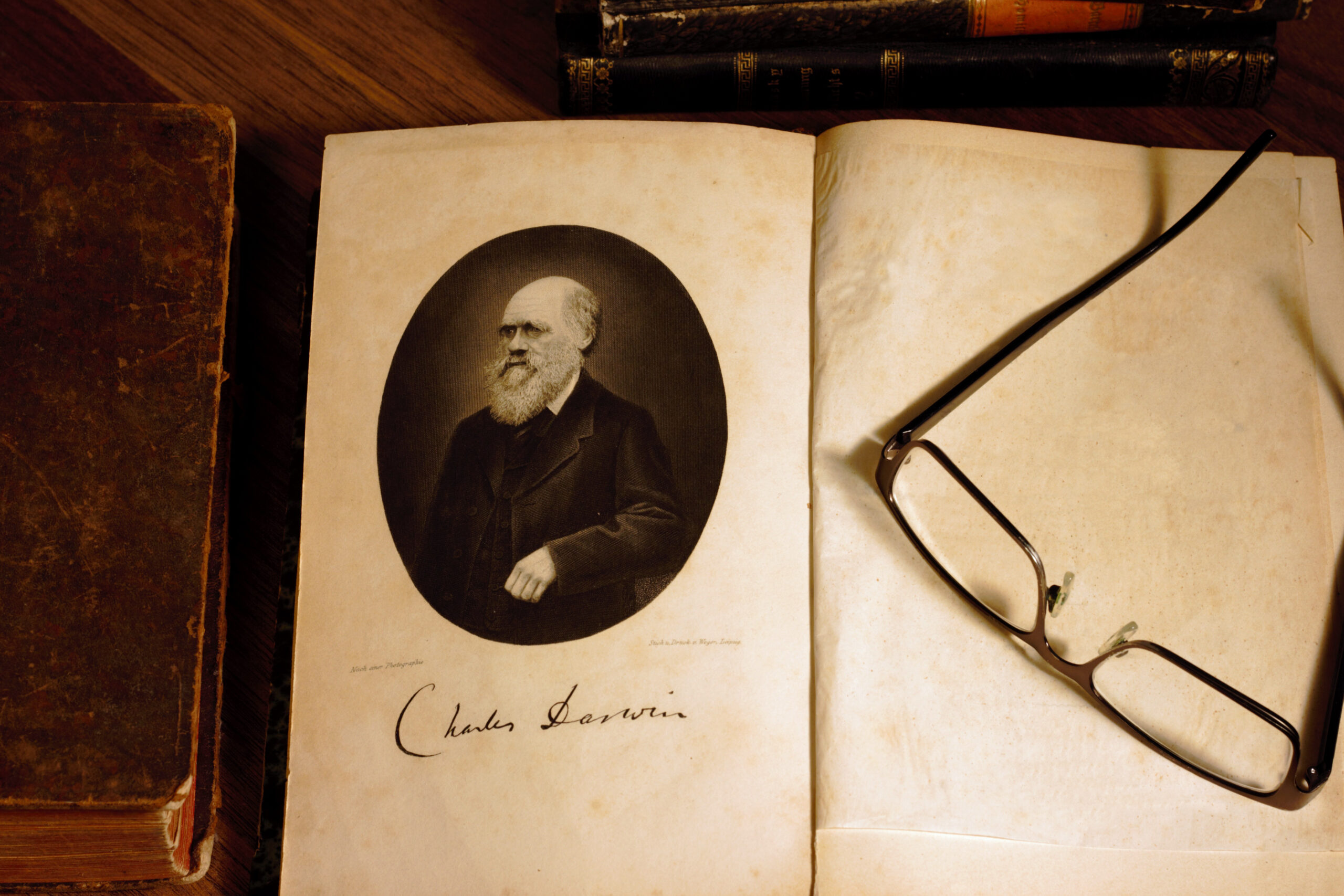 cover of episode Rescuing Evolutionary Theory from Darwinian Mythology