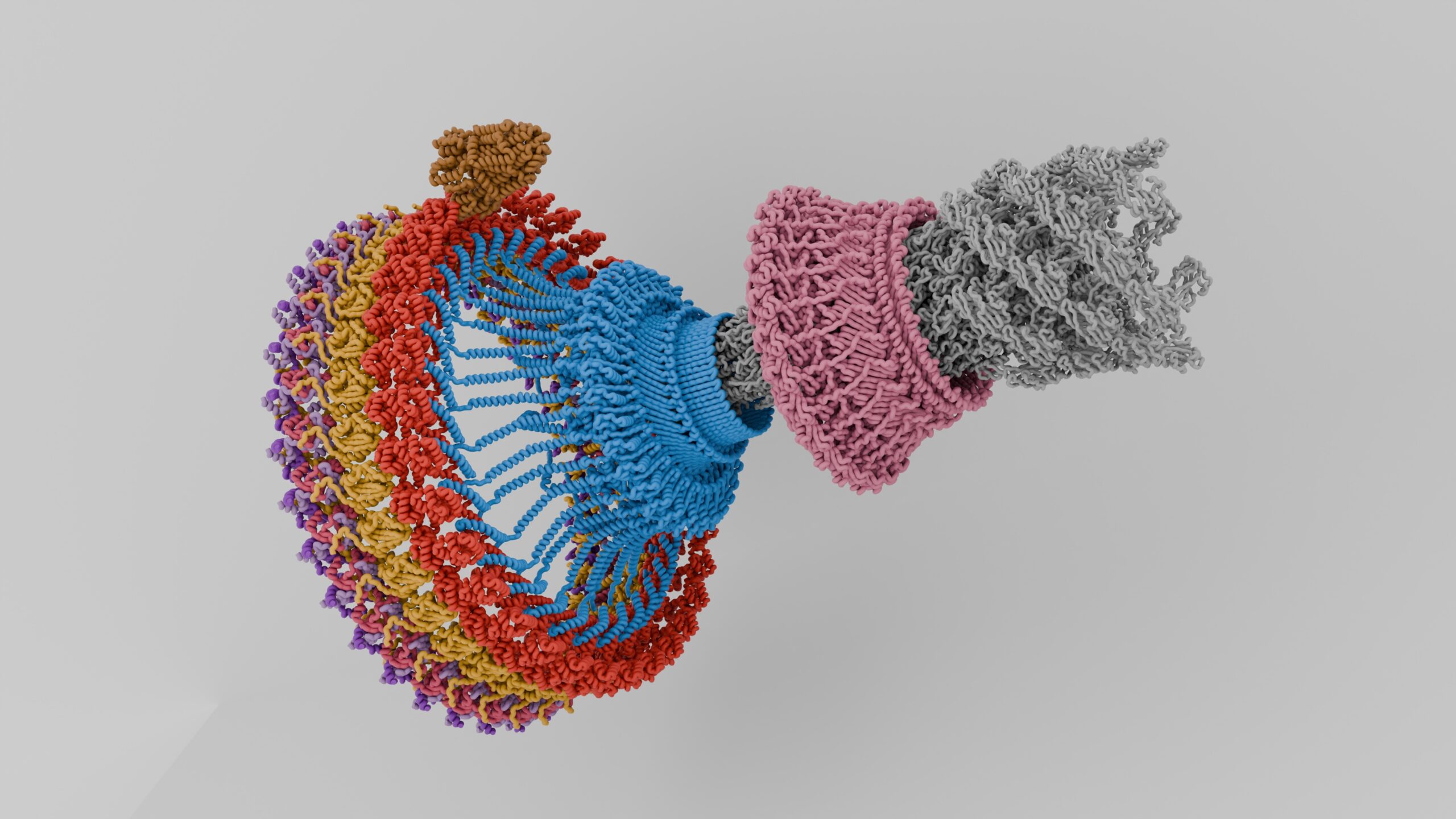 The Bacterial Flagellum: A Marvel of Nanotechnology - podcast episode cover