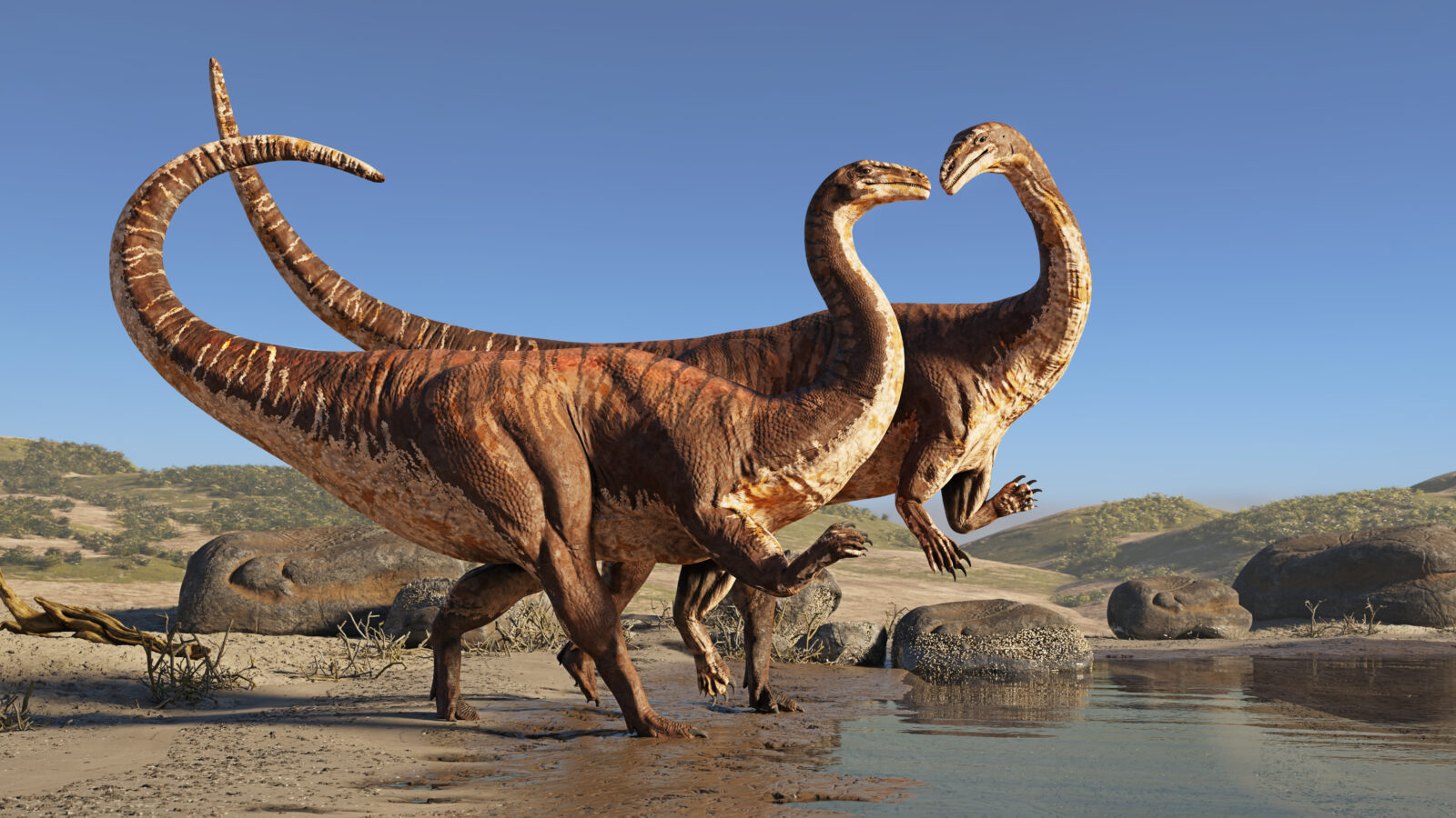 Plateosaurus couple, dinosaurs from the Late Triassic period walking on the beach