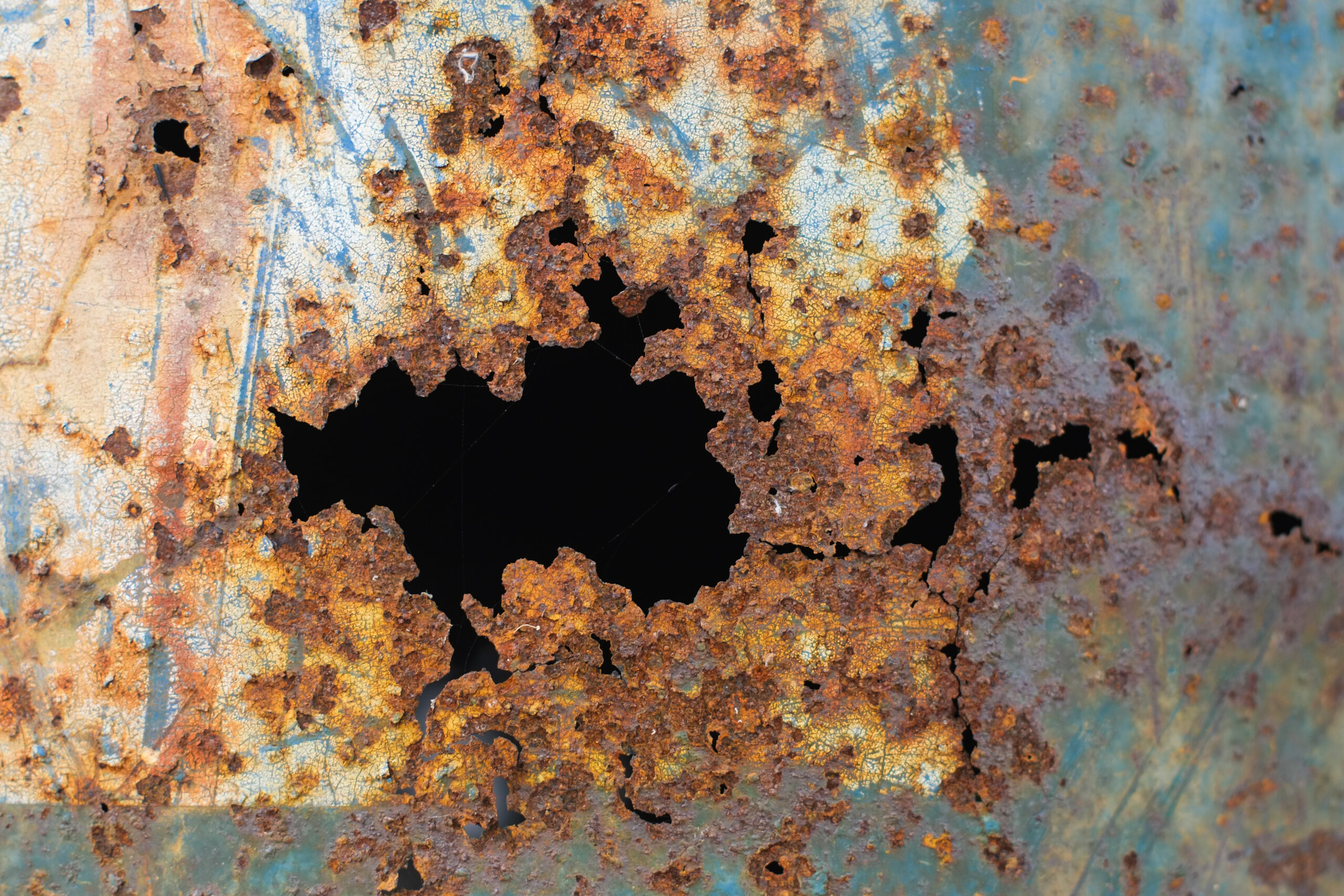 John West on Darwin’s Culturally Corrosive Idea