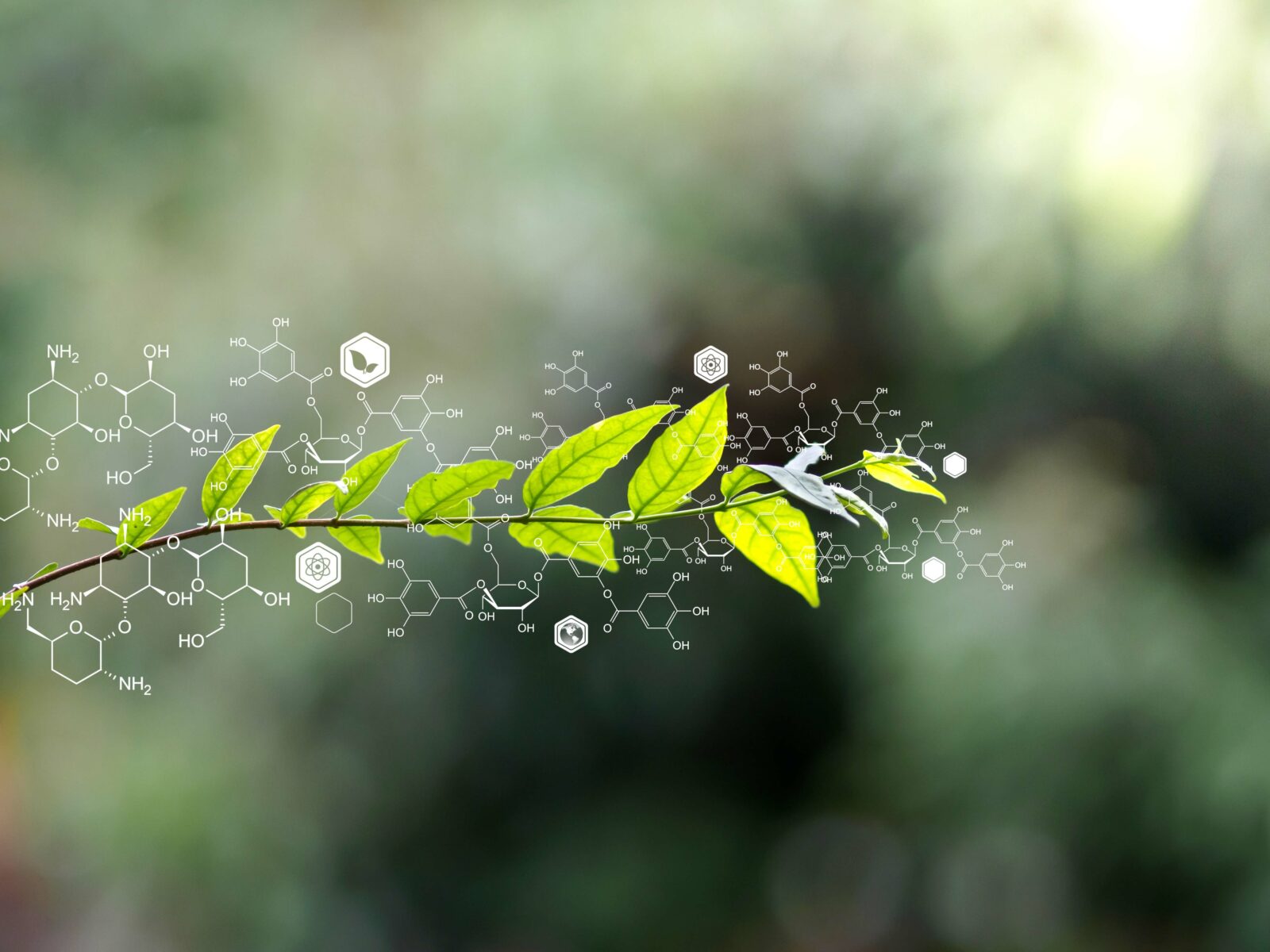 Plants background with biochemistry structure.