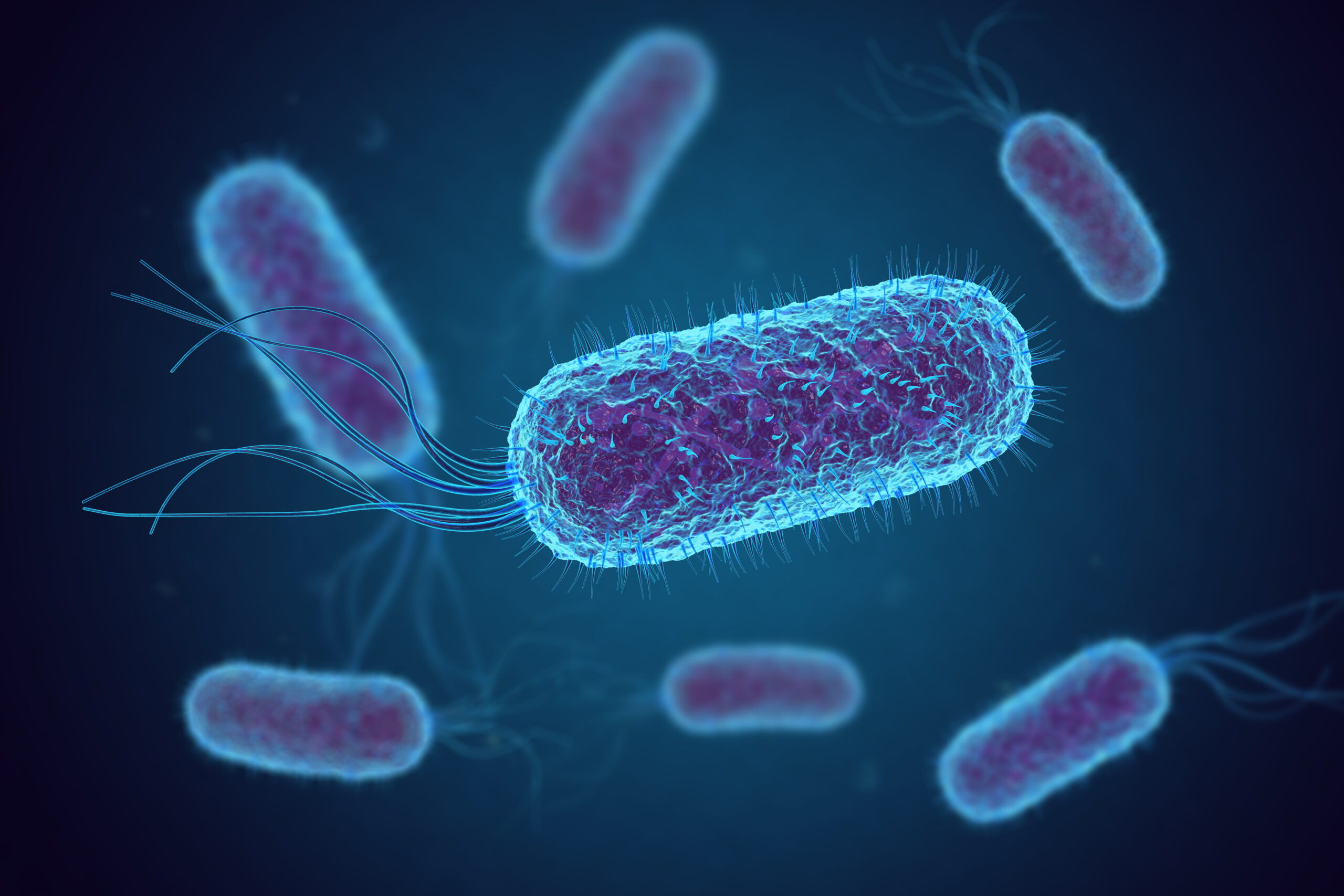 Engineered Complexity in the Microbial World