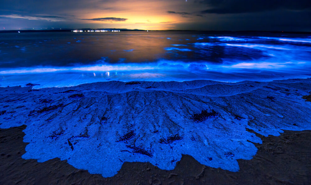 Bioluminescence sea sparkle Jervis bay, NSW, Australia. 11-07-2020