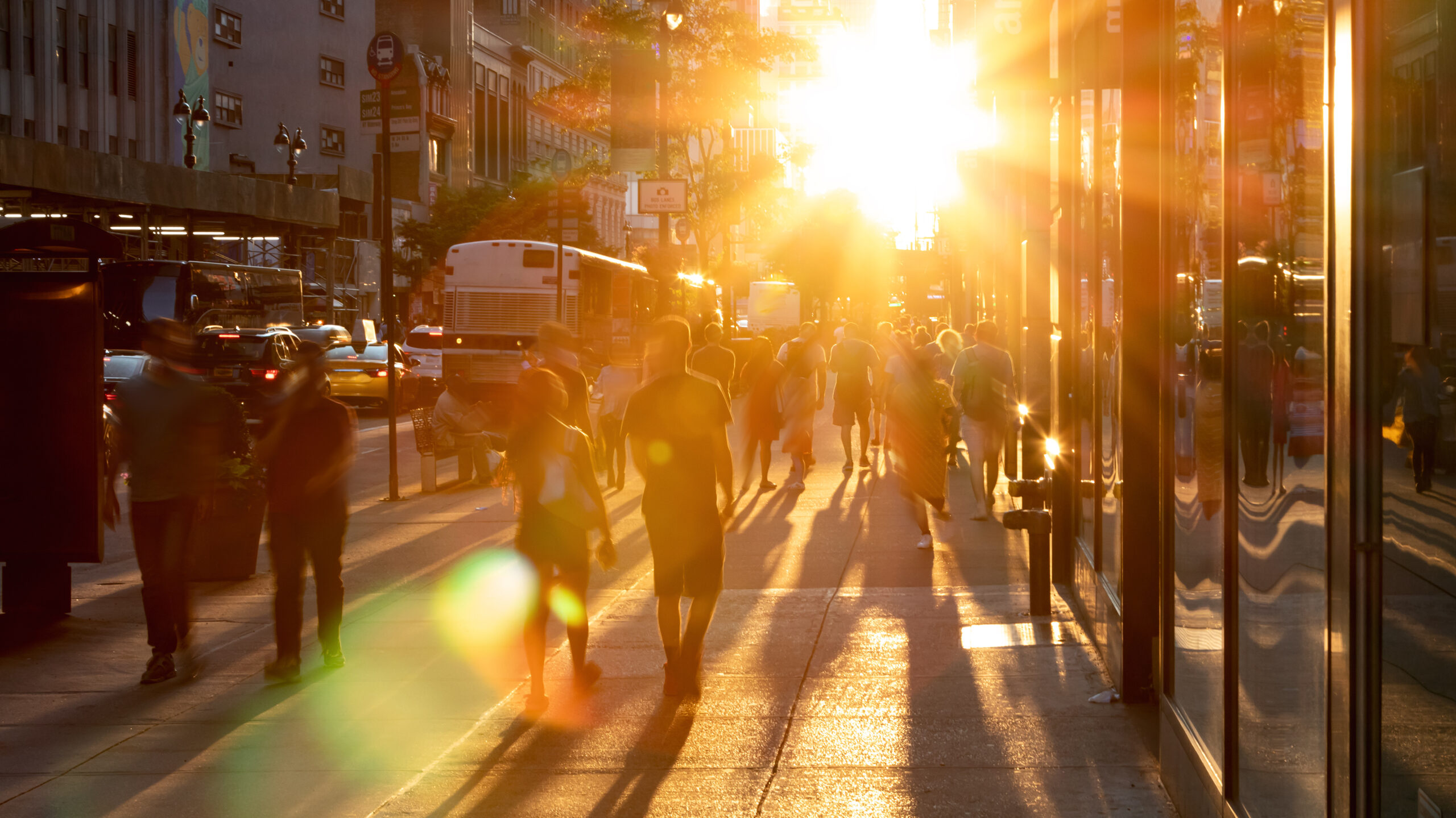 Michael Denton Explains How Light Sustains Human Life