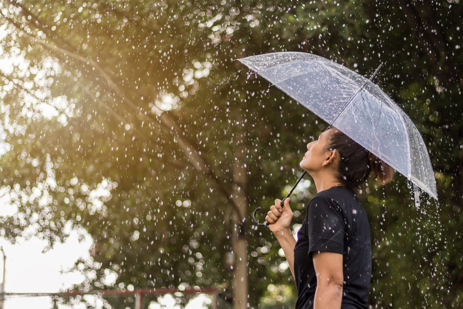 Asian woman under an umbrella in the rain.