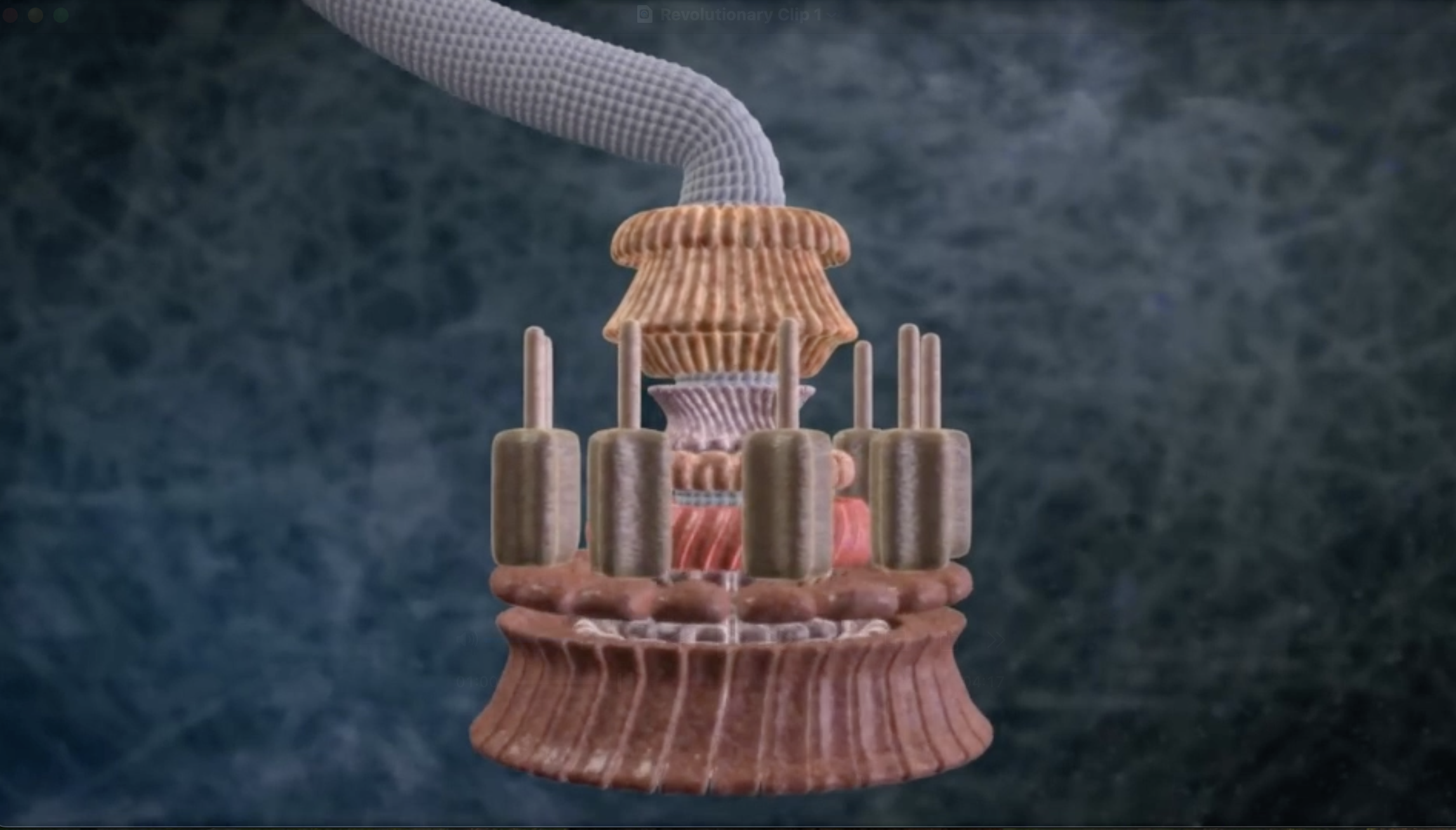 Casey Luskin on the Core Concepts of Intelligent Design