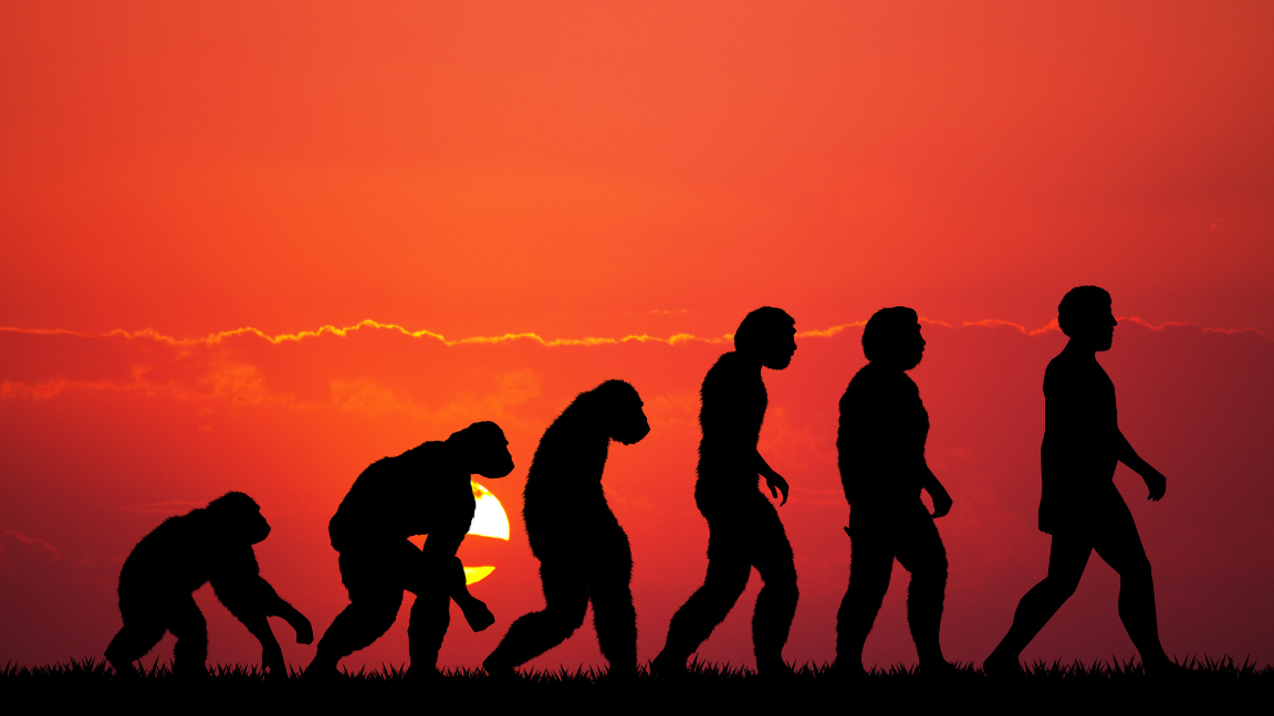 Neil Thomas: “This Darwinism Business, It’s Rubbish, Isn’t It?” Neil Thomas: “This Darwinism Business, It’s Rubbish, Isn’t It?”