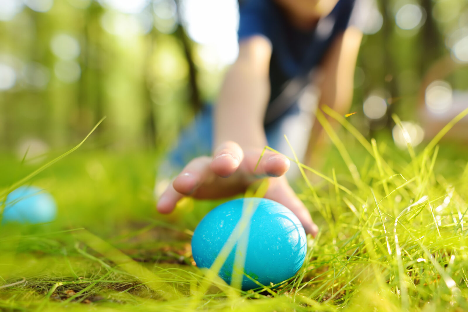 Little boy hunting for egg in spring garden on Easter day. Traditional easter festival outdoors. Focus on multicolor eggs.