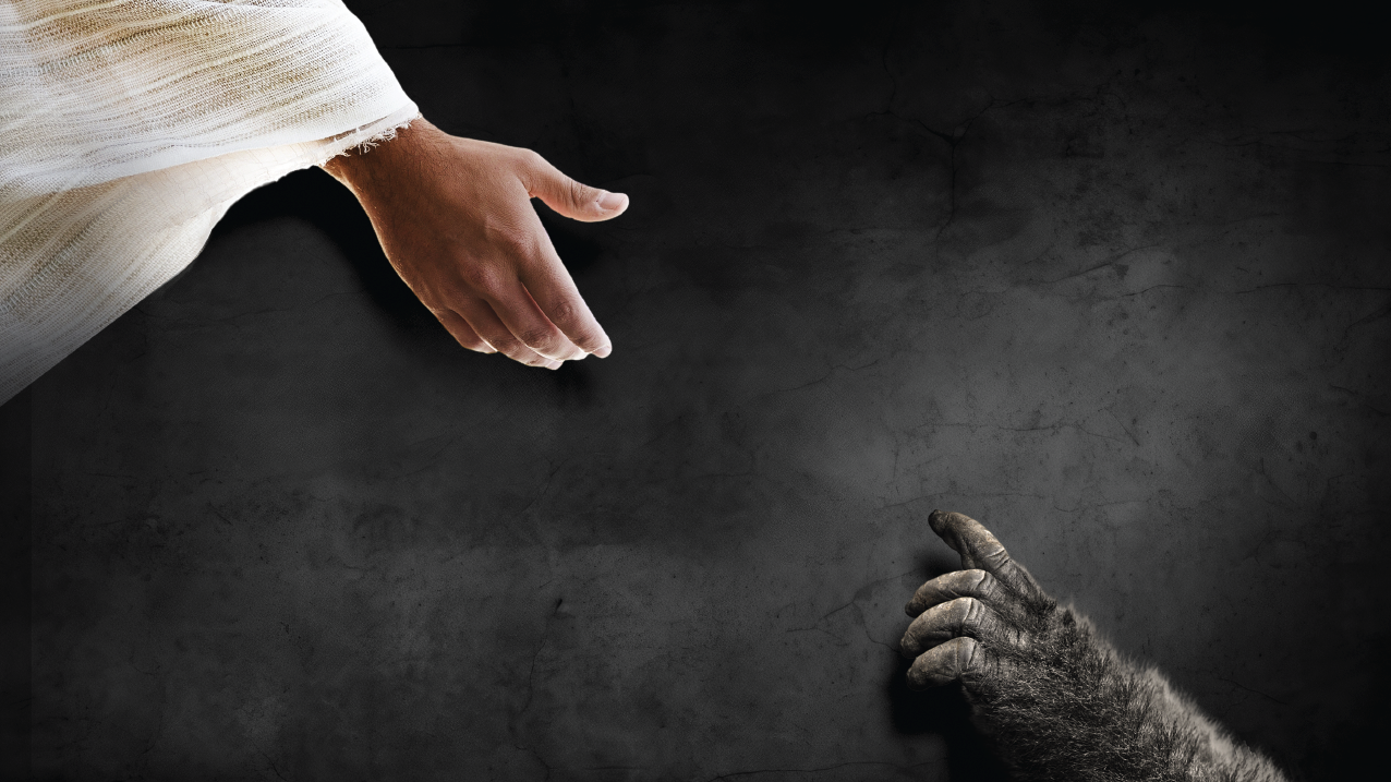 The Cultural Mythology and Scientific Frailty of Darwinism