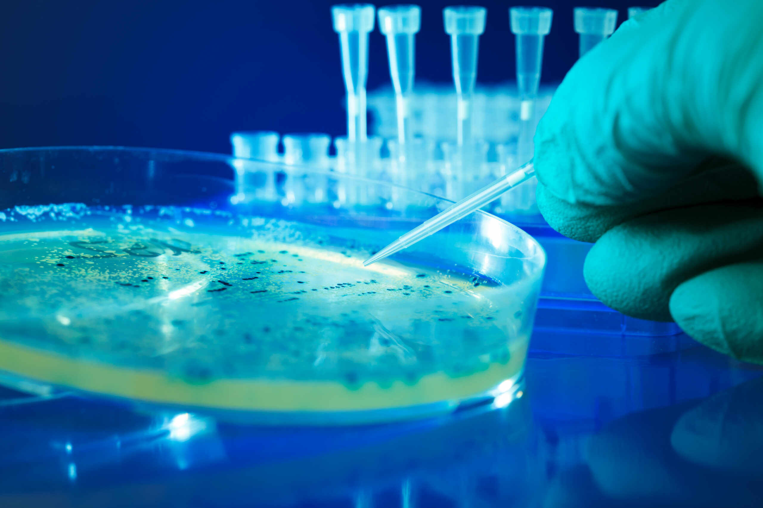 Dr. Scott Minnich on the Real Science Behind E. coli “Evolution” episode artwork