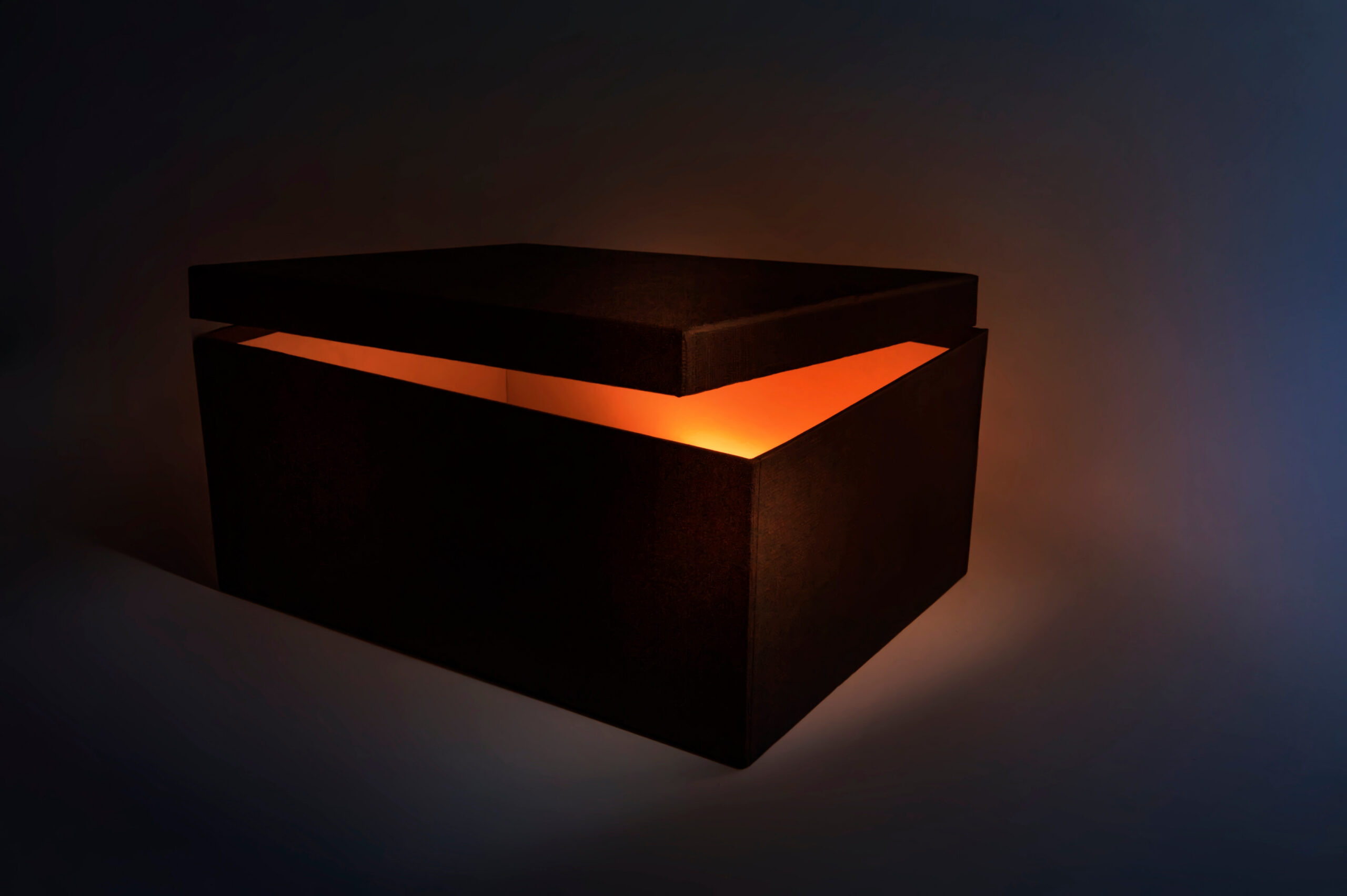 Michael Behe on Thirty Years of Darwin’s Black Box