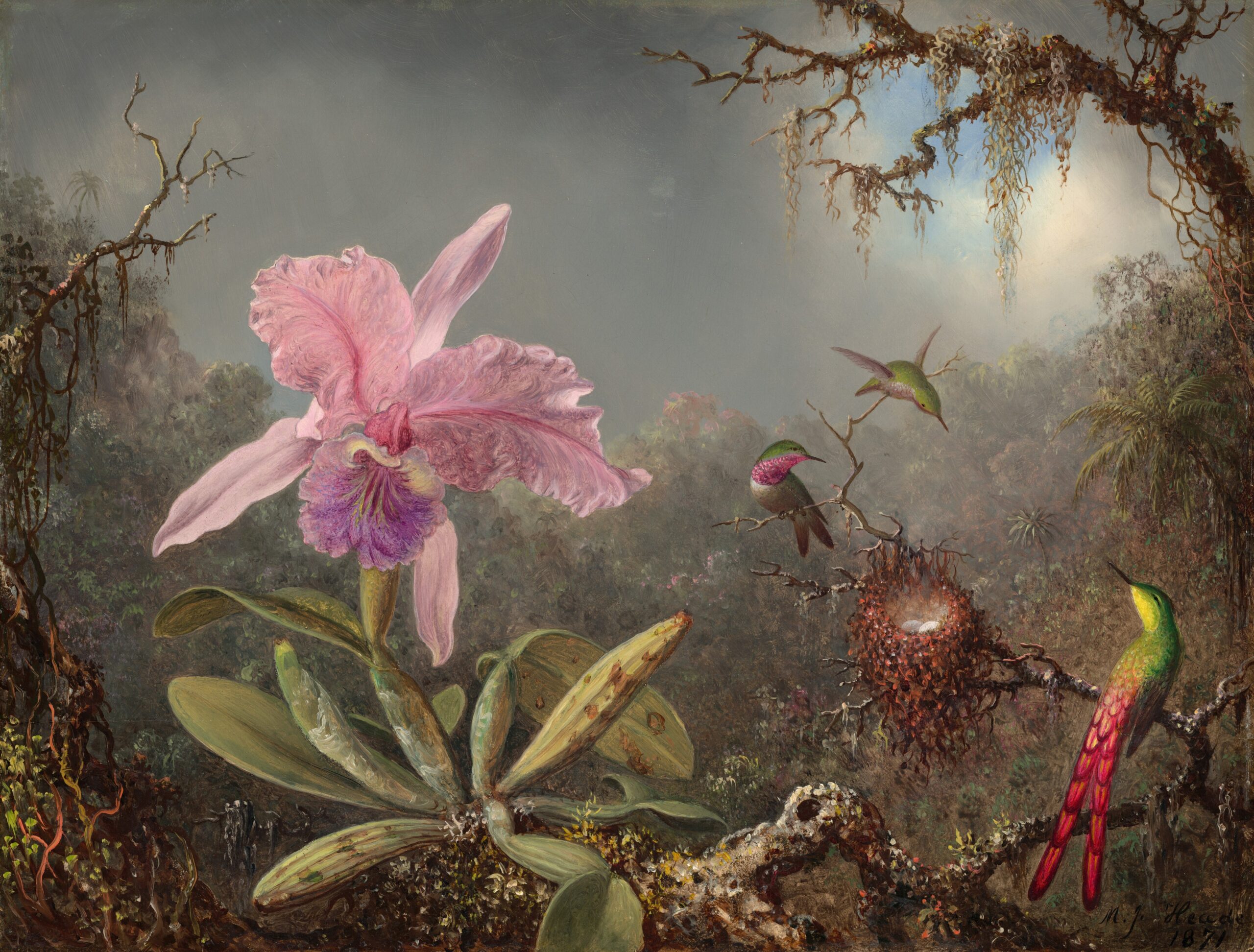 “Into the Jungle of Fanciful Assumption”: Samuel Wilberforce Critiques Darwin